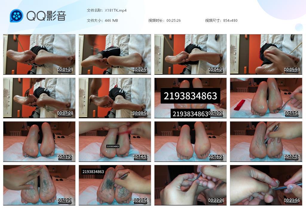 X181TK[20260206-122509].jpg